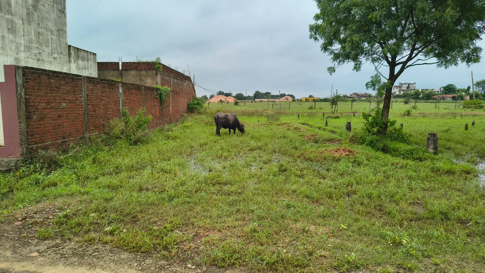 Behind the Aks University, Sherganj